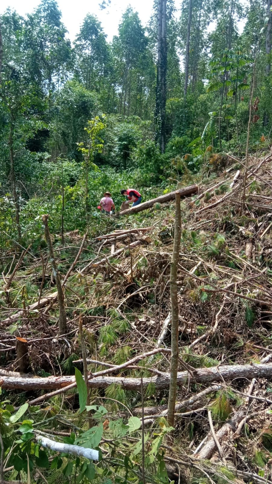 Foto: Divulgação/BV Presidente Getúlio 