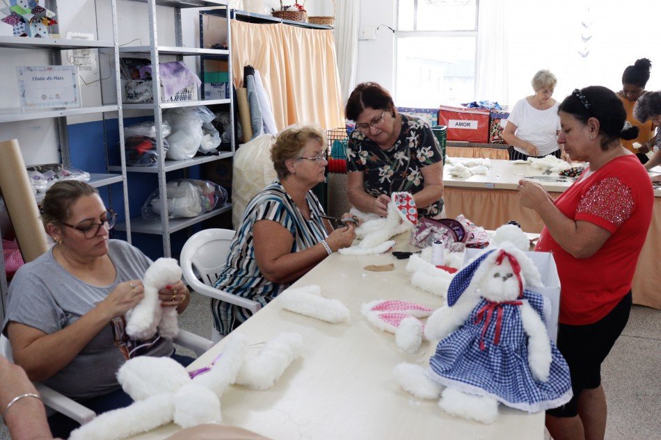 Foto: Prefeitura de Blumenau/ Divulgação 