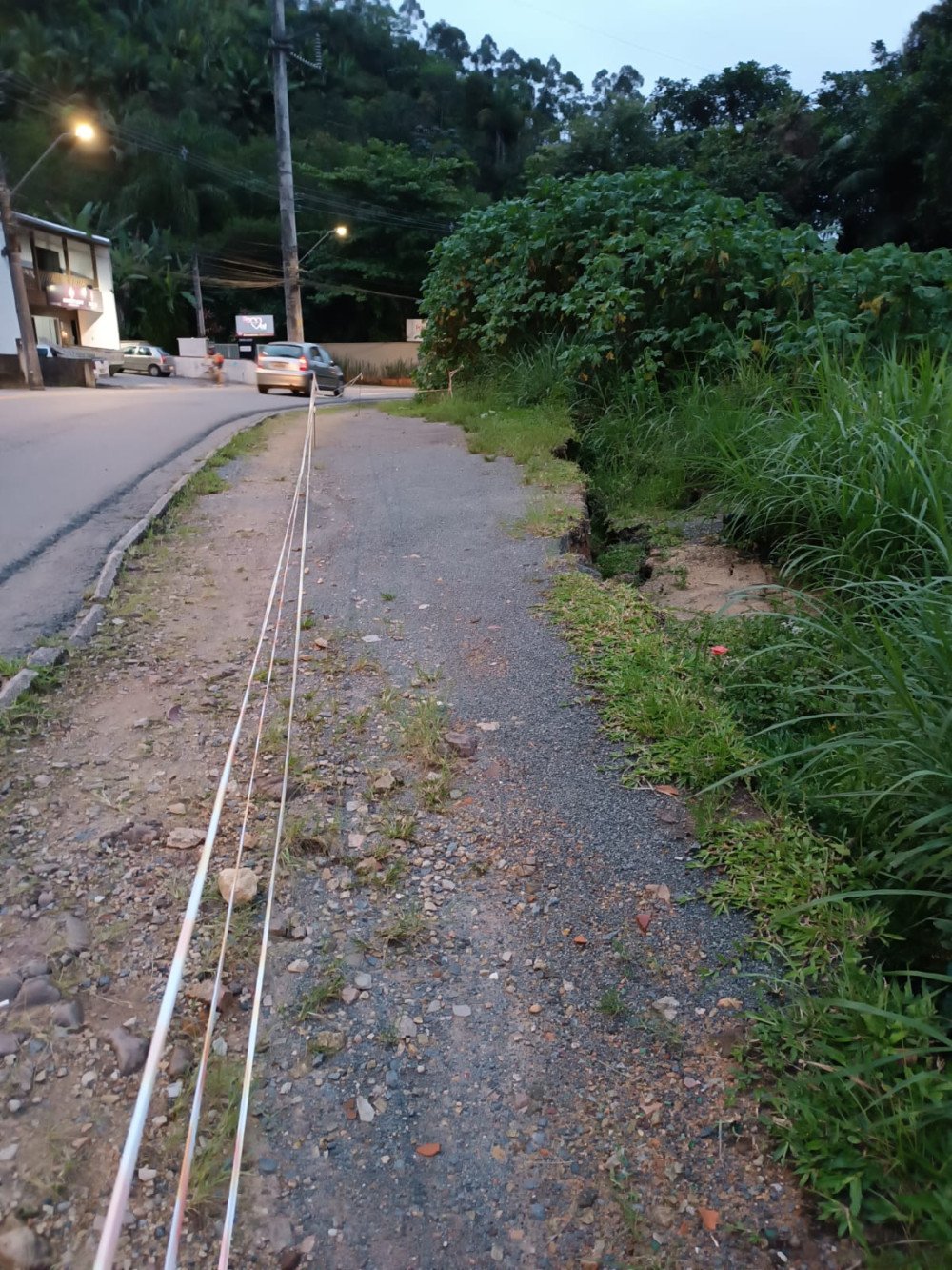 Vídeo: Moradores reclamam de desbarrancamento e mato em calçada da Rua Jorge Lacerda, no bairro Velha