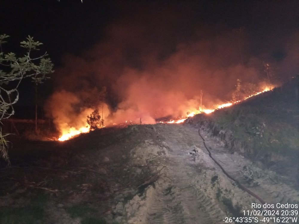 Rio dos Cedros: Bombeiros controlam incêndio em vegetação
