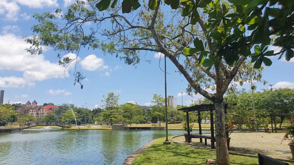 Sol predomina nesta sexta-feira em Blumenau