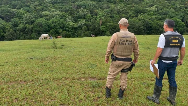 PMSC e Cidasc fazem fiscalização para coibir farra do boi em Santa Catarina
