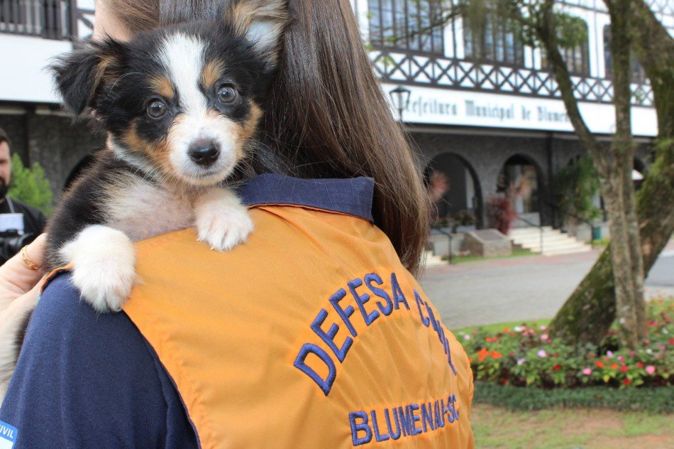 Foto: Marcelo Martins/Prefeitura de Blumenau 