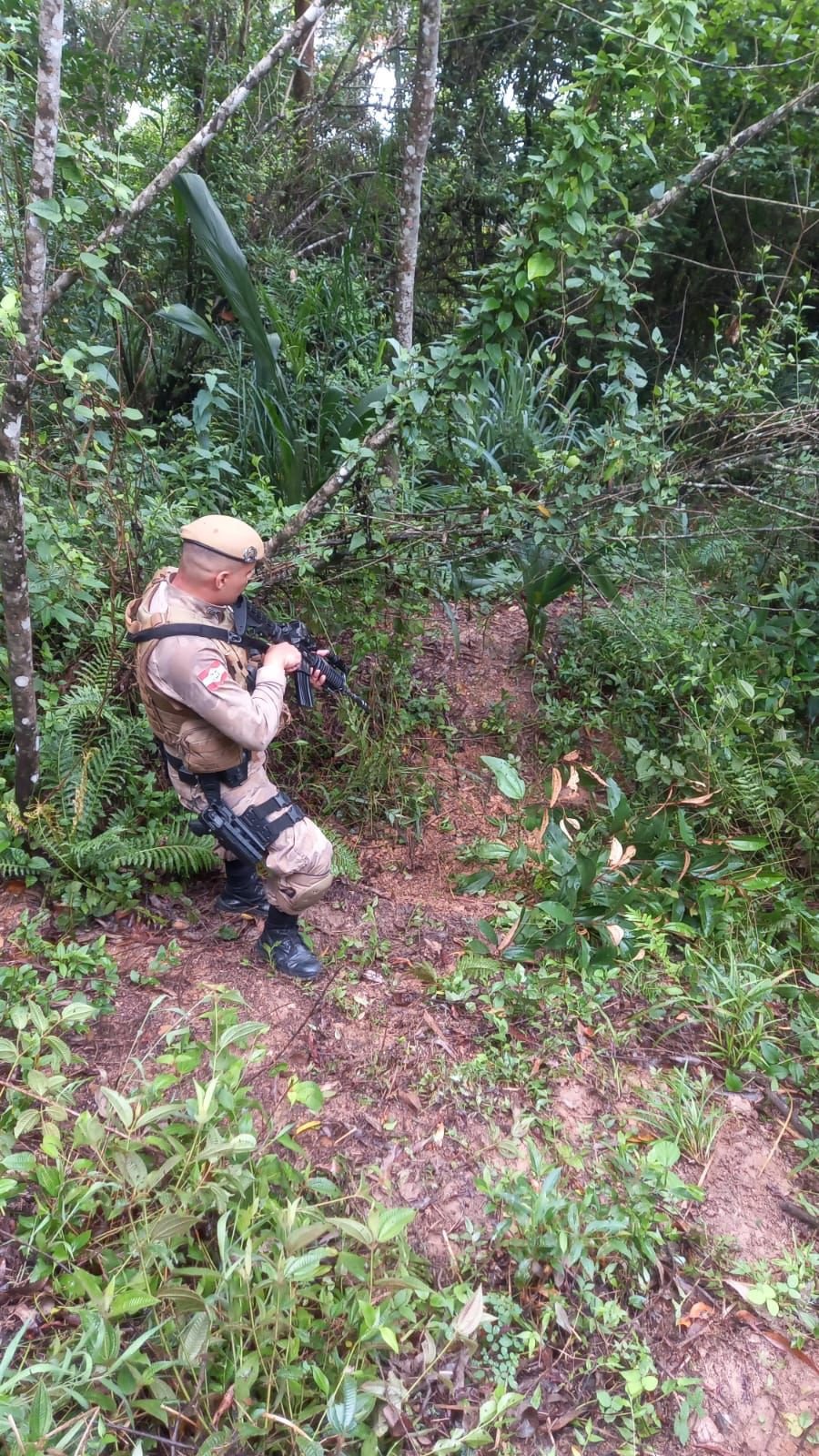 Corpo parcialmente enterrado é encontrado em Itajaí; homem tinha diversas passagens pela polícia