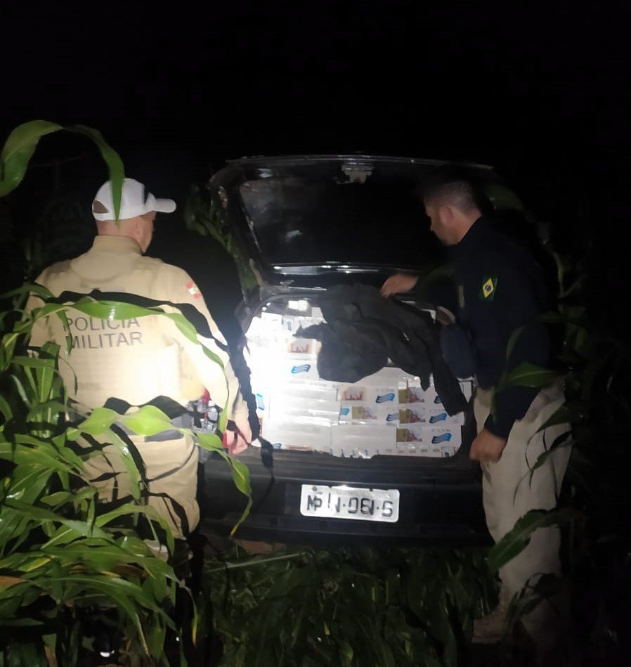 Mais de 12 mil maços de cigarros contrabandeados são apreendidos na BR-282