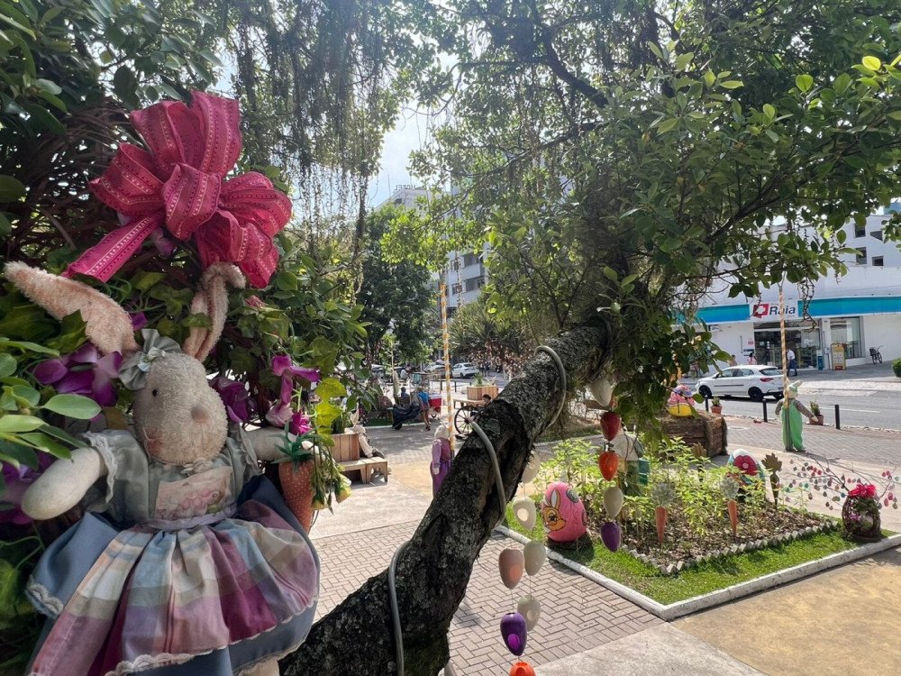 Foto: Divulgação/Prefeitura de Brusque