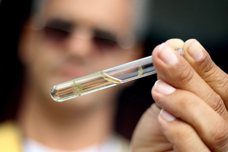 Brasil registra mais de 2 milhões de casos de dengue