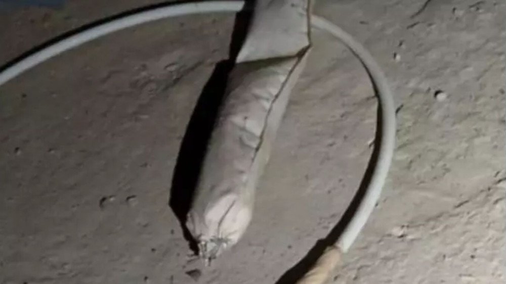 Bope é acionado para remover artefato explosivo em Blumenau