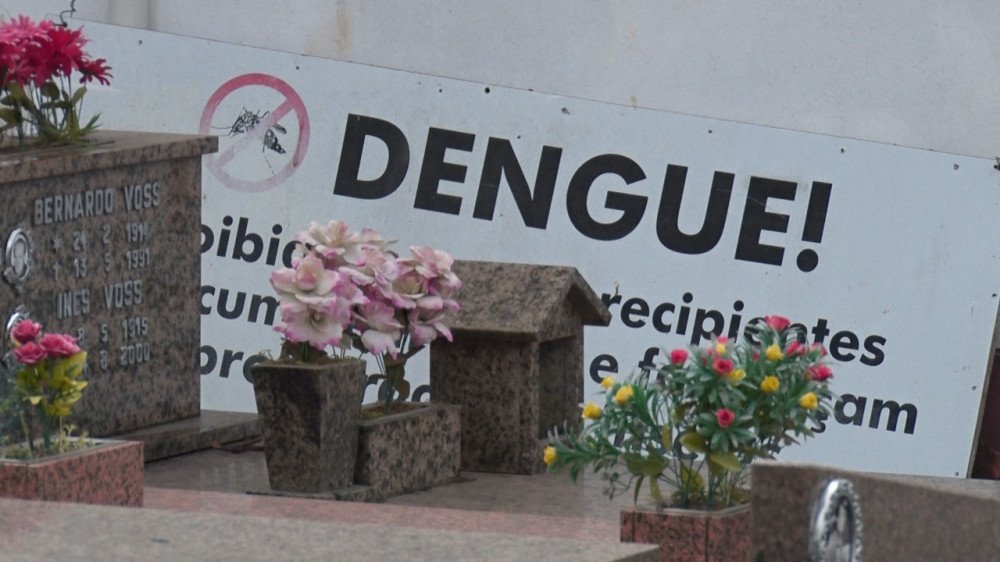 Blumenau registra segunda morte por dengue em 2024; casos confirmados ultrapassam 2 mil