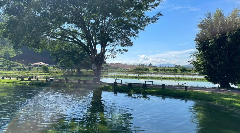 Semana Santa movimenta a economia de Gaspar com venda de peixes em pesque e pagues