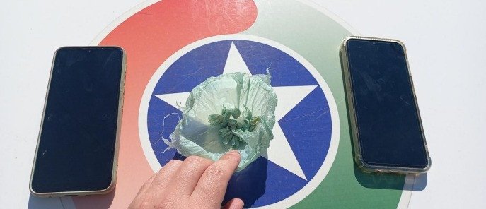 Dois adolescentes são presos pelo crime de tráfico de drogas, em Blumenau