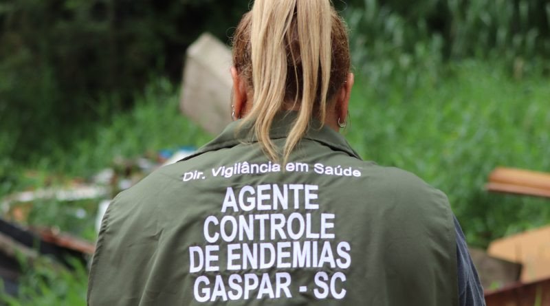 Gaspar decreta situação de emergência por conta da dengue
