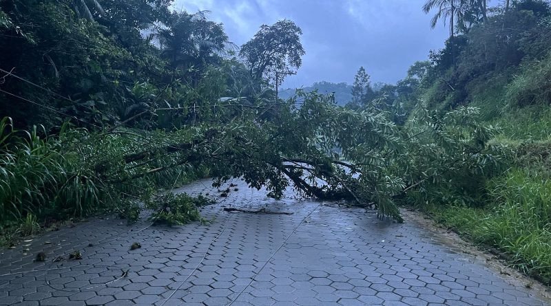 Chuva em SC: Blumenau e Gaspar também registram ocorrências nas últimas horas