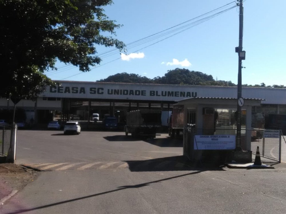 Foto: Divulgação / Ceasa Blumenau