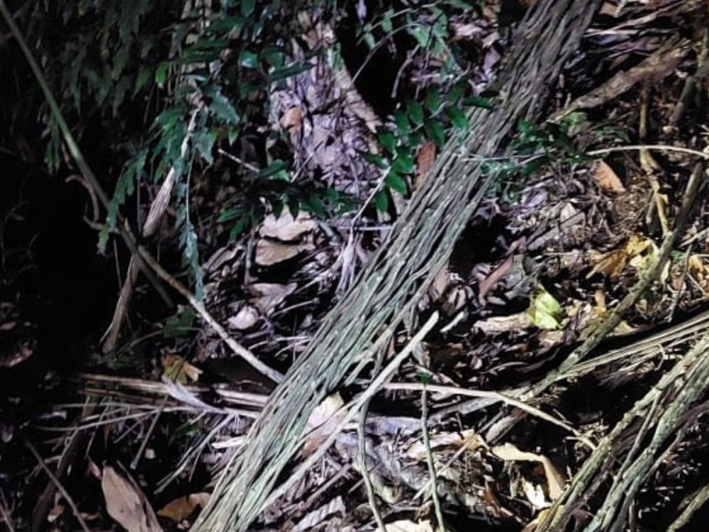 Idoso é encontrado sem vida em mata no bairro Garcia