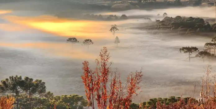 Inmet prevê geada para regiões de SC nesta quarta-feira