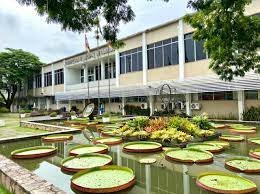 Foto: Prefeitura de Indaial/ Divulgação