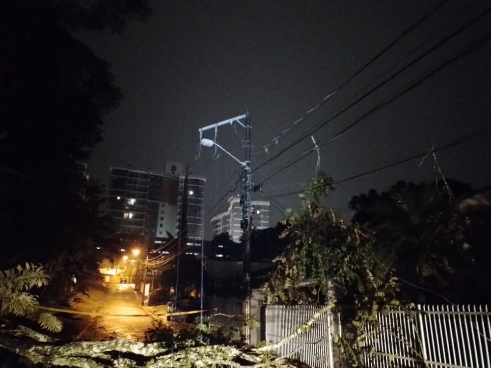 Temporal causa queda de árvores e afeta o fornecimento de energia em Blumenau