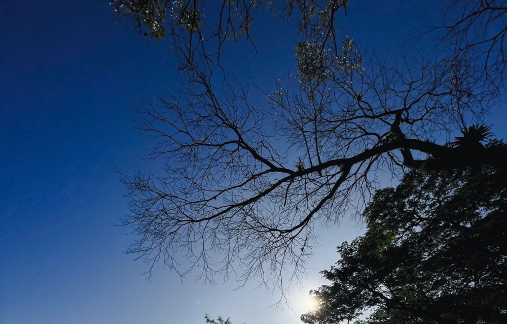 Sábado terá tempo firme em Blumenau e região; confira a previsão