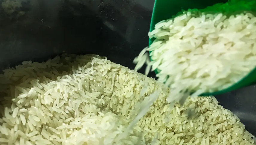 Governo federal autoriza compra de um milhão de toneladas de arroz para abastecimento do país