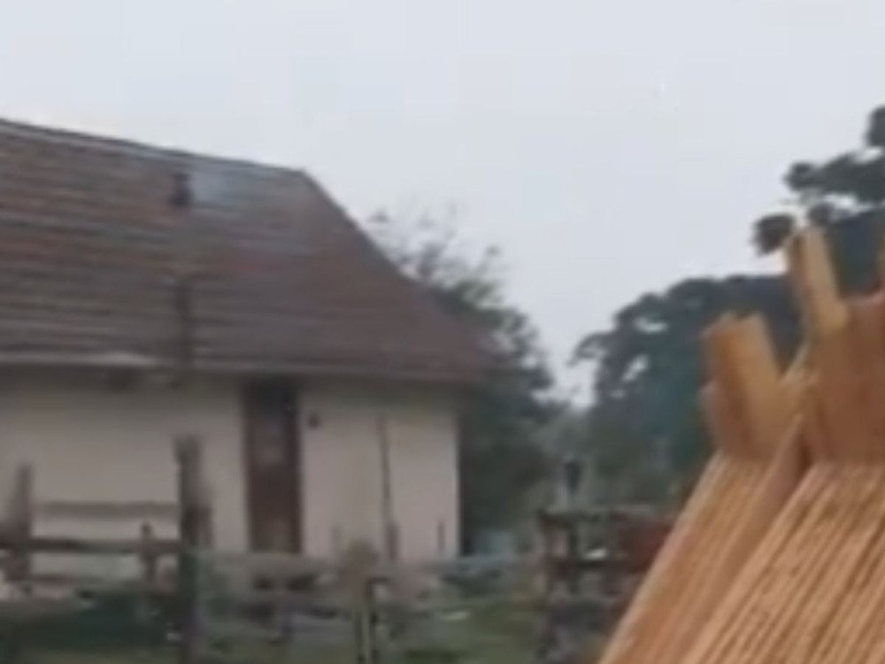 Neve cai pela primeira vez em 2024 em Santa Catarina