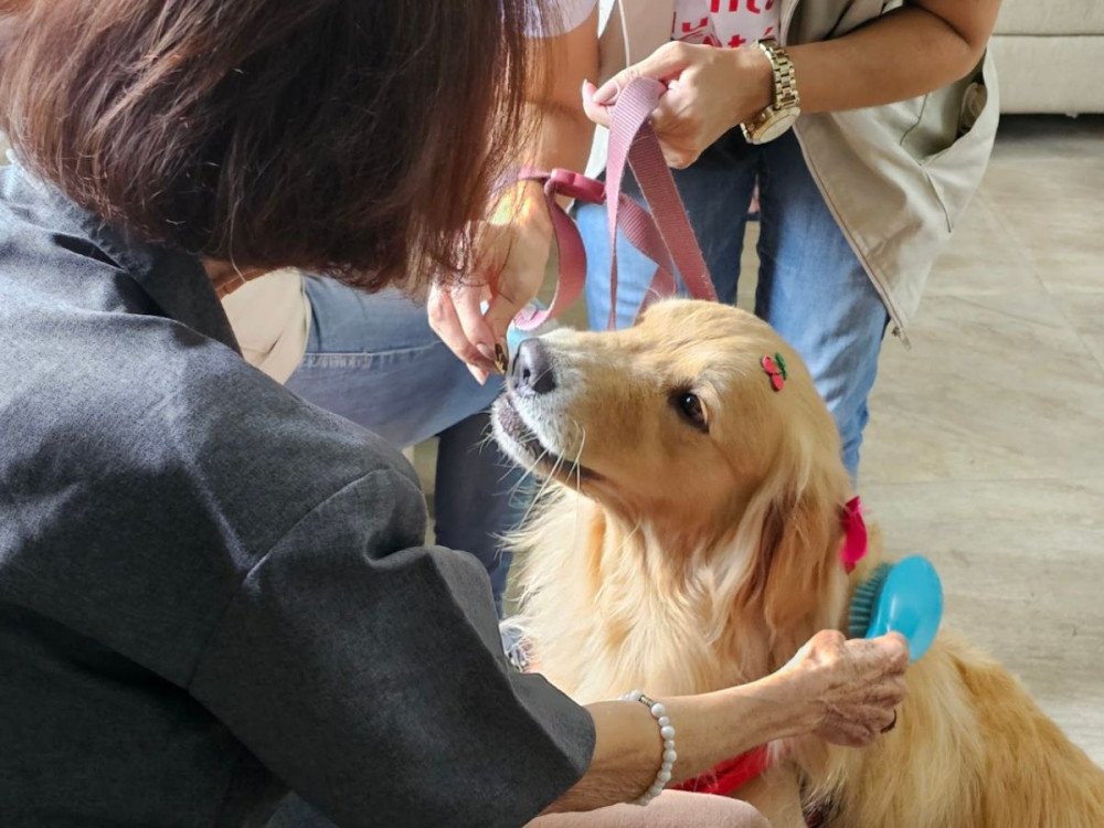 Trapamédicos está com inscrições abertas para voluntários 