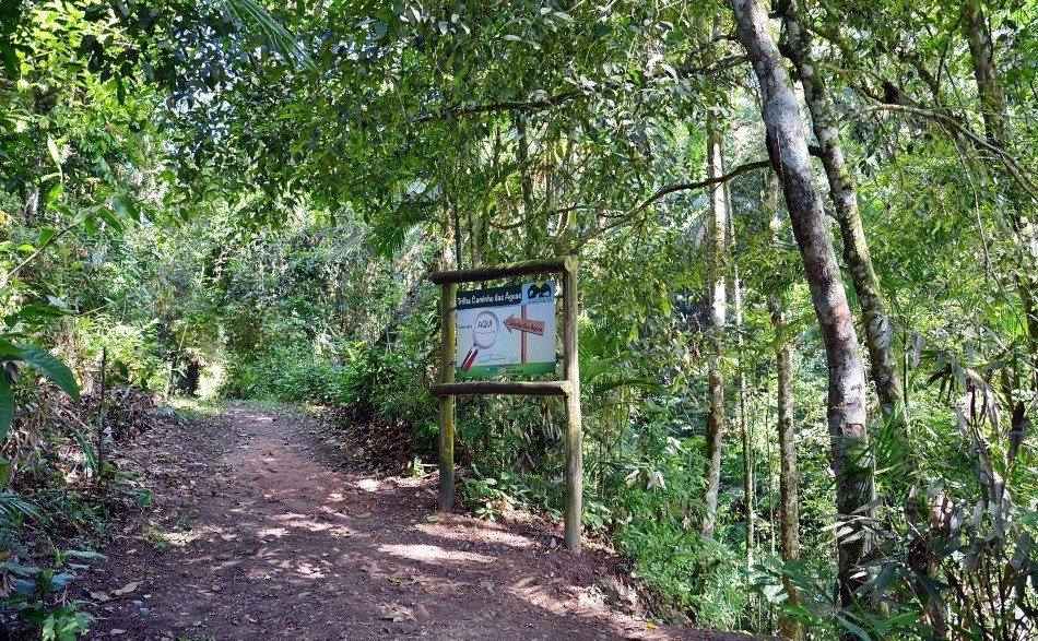 Abertas as inscrições para a Caminhada Noturna no Parque São Francisco de Assis de Blumenau