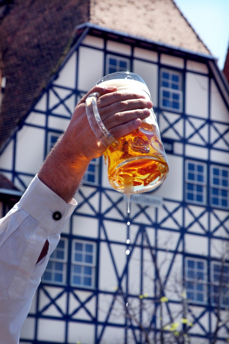 Prefeitura confirma parceria para realizar Festival da Cerveja de Blumenau em março de 2025