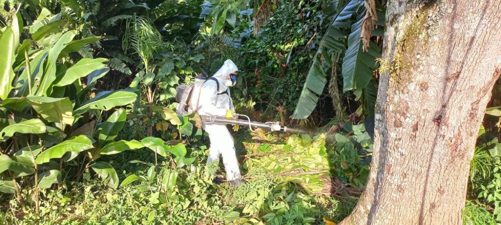 Dengue em Blumenau: Fumacê ocorrerá no bairro Garcia nesta terça-feira