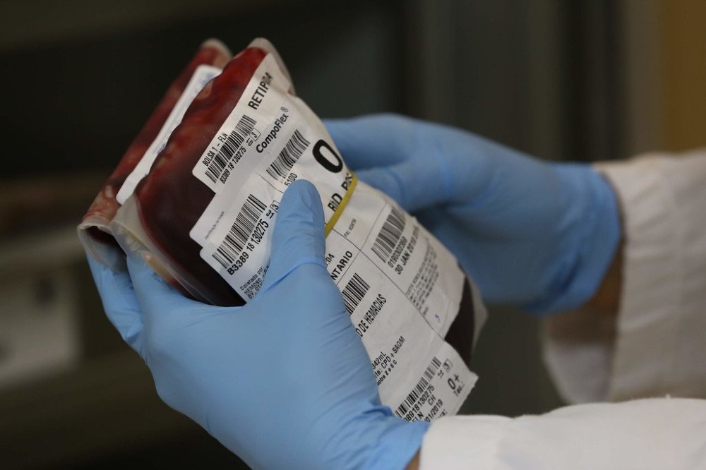Hemosc promove ações em comemoração ao Dia Mundial do Doador de Sangue