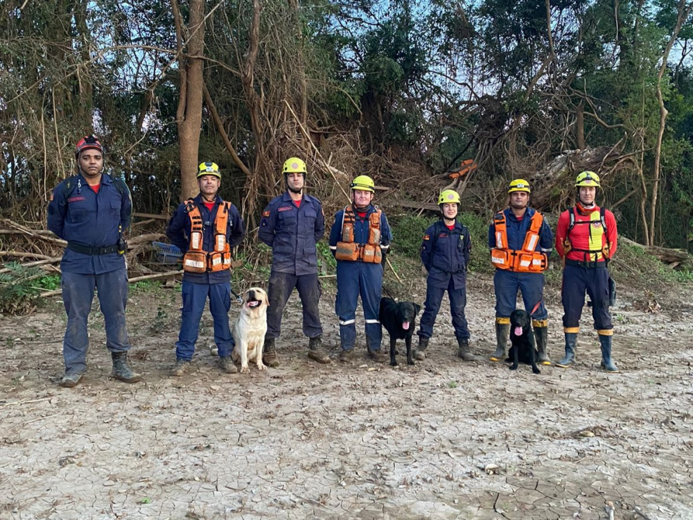Bombeiros de Santa Catarina com apoio de cães de busca localizam mais uma vítima de chuvas no Rio Grande do Sul