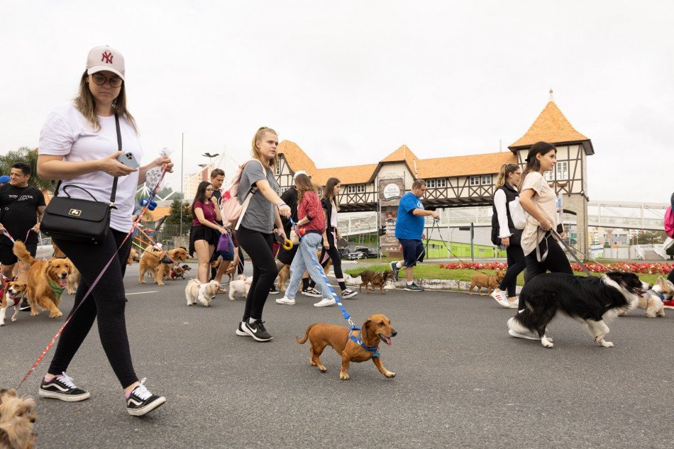 Cãominhada de Blumenau já tem data para acontecer; veja quando