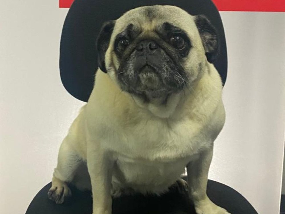 Foto: Divulgação/PCSC