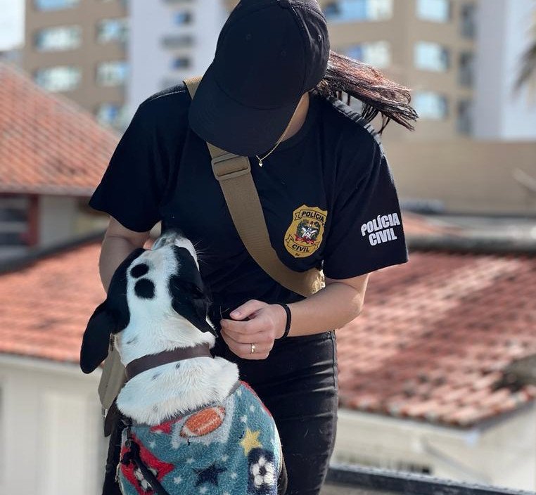 Polícia Civil de SC lança portal para adoção de animais resgatados e vítimas de maus-tratos