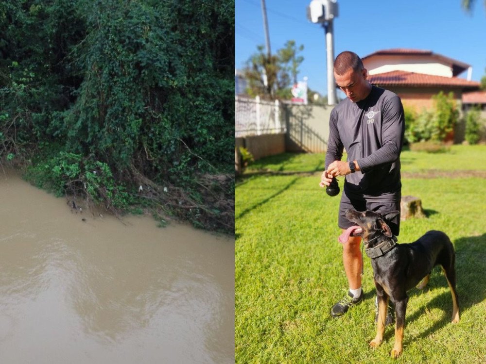 Vídeo: Cão da PM de Blumenau desaparece durante ocorrência e mobiliza equipes de resgate