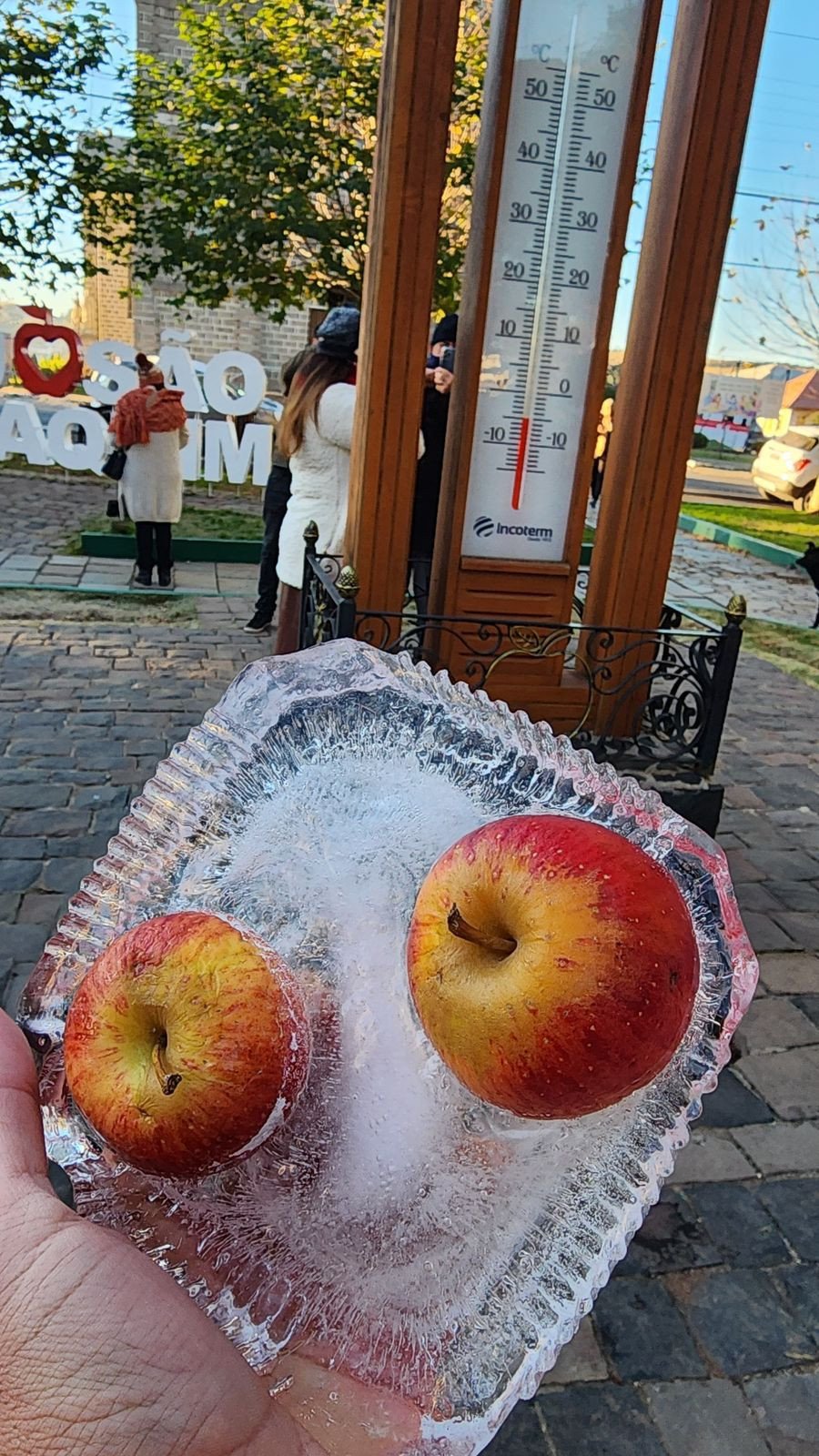 Foto: Kátia Fenner/Defesa Civil SC