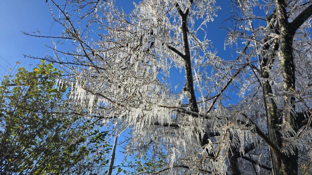 Imagens mostram paisagem coberta por geada em SC; veja