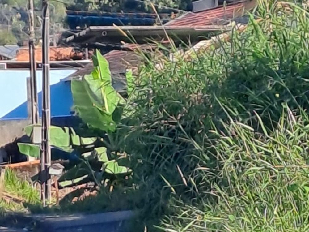 Vídeo: Moradores reclamam da falta de manutenção em ponto de ônibus no bairro Água Verde