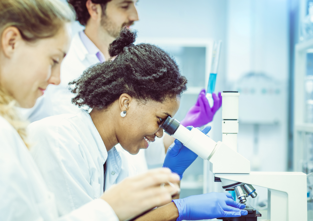 UFSC Blumenau está com inscrições abertas para mestrado gratuito em Engenharia Têxtil