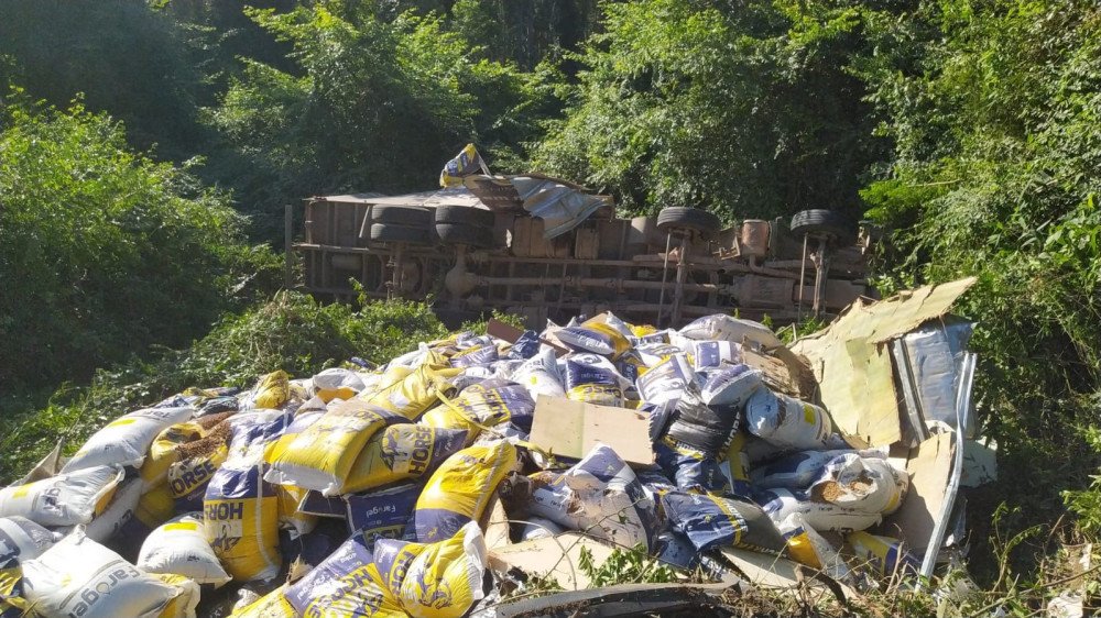 Vídeo: caminhão carregado de ração cai em ribanceira no Alto Vale e deixa duas pessoas sem vida