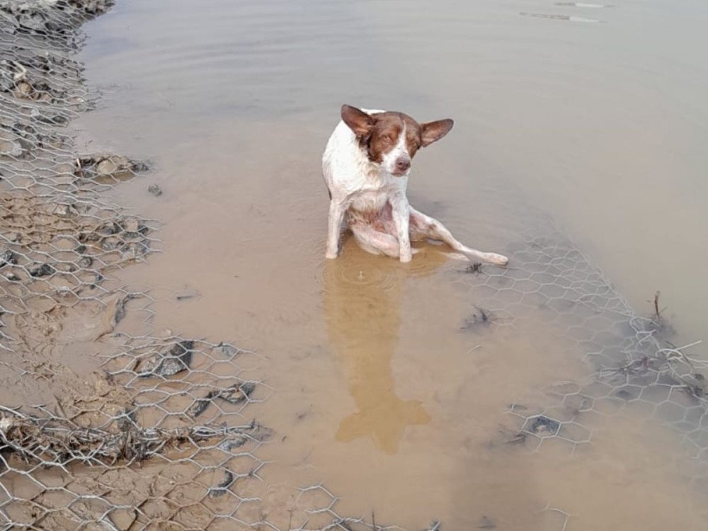 Foto: Divulgação/CBMSC