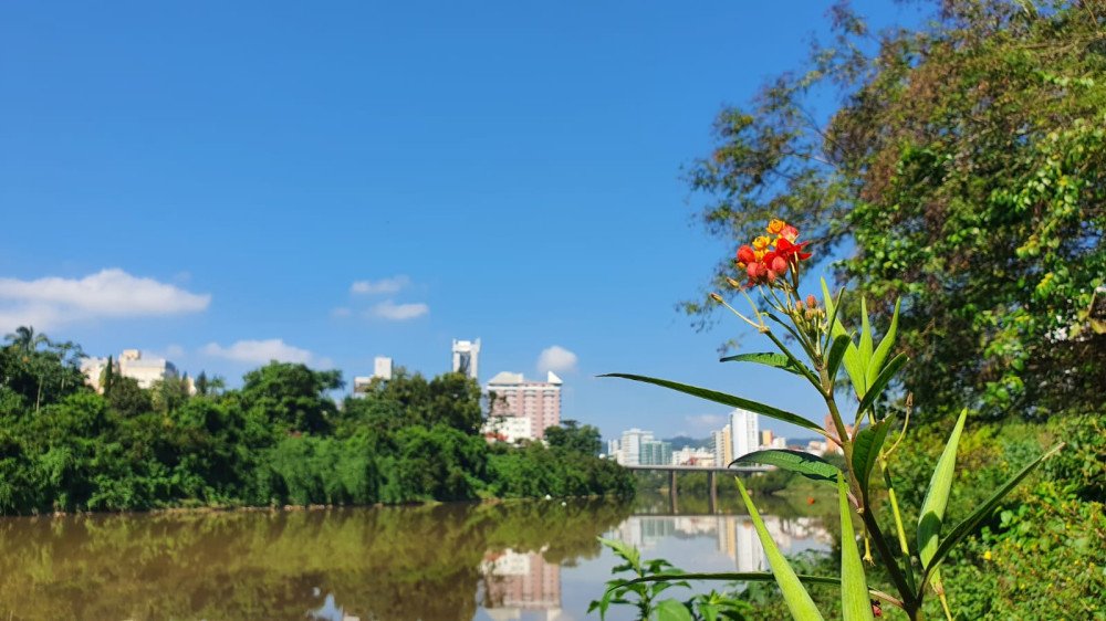 Blumenau segue com tempo firme neste sábado