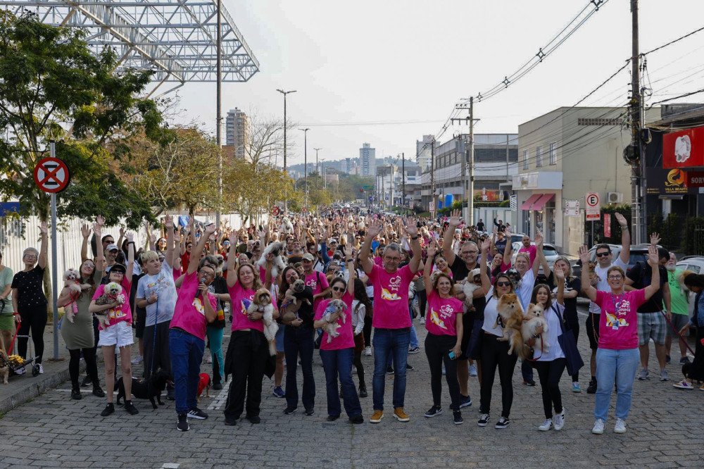 Mais de mil cães participaram da 29ª Cãominhada de Blumenau