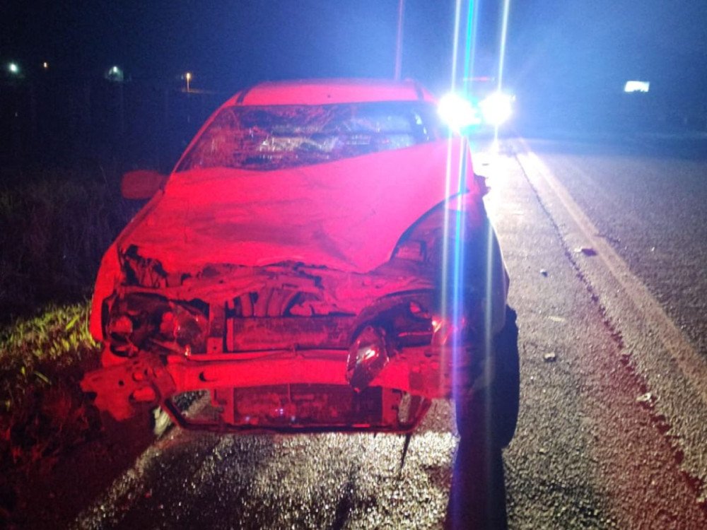 Cavalo morre após ser atropelado por caminhonete na BR-470 em Gaspar