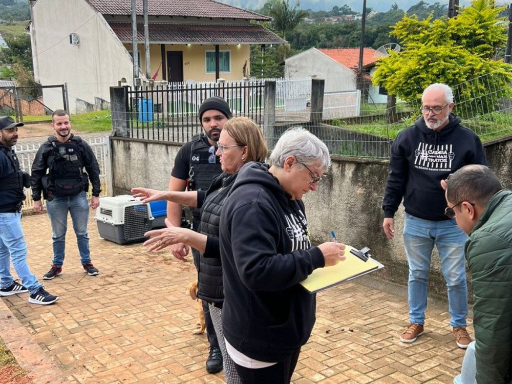 Cães em situação de maus-tratos são resgatados pela Polícia Civil em Indaial