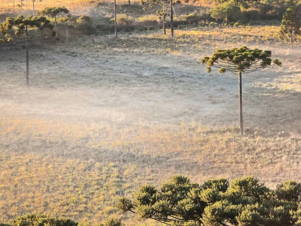SC tem temperaturas negativas no amanhecer desta segunda-feira