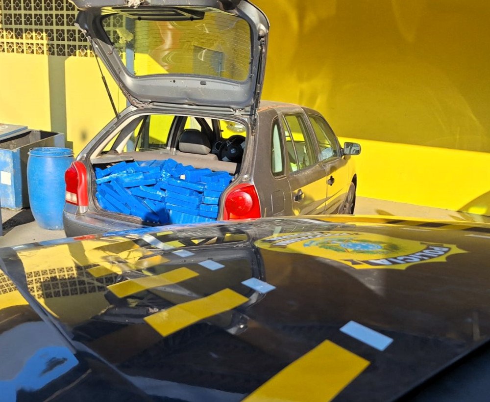 PRF apreende mais de 260 kg de drogas na BR-101 em Joinville