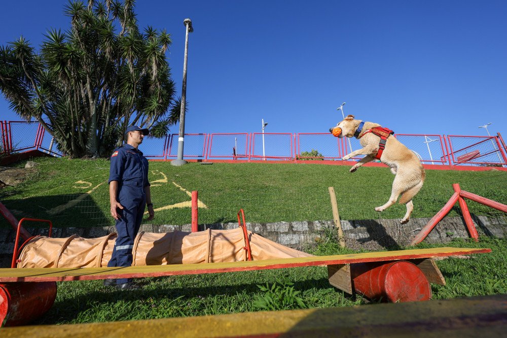 CBMSC investe em treinamento conjunto com cães de busca e salvamento