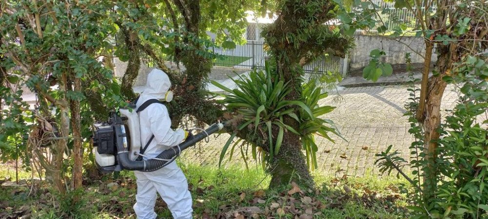 Bairro Passo Manso recebe fumacê contra a dengue nesta quinta-feira