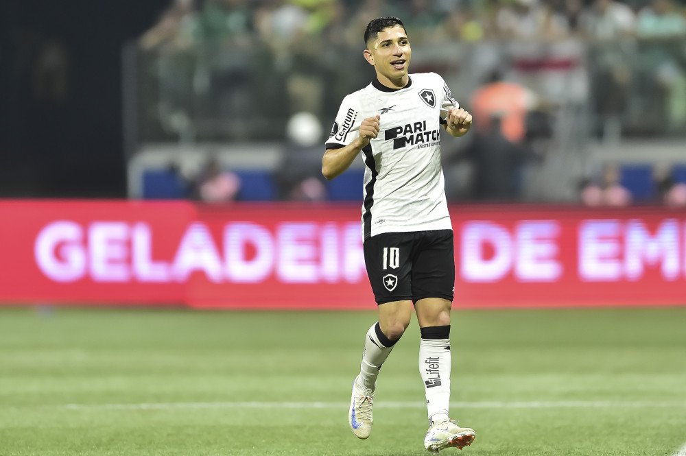 Botafogo segura empate com Palmeiras e avança na Copa Libertadores